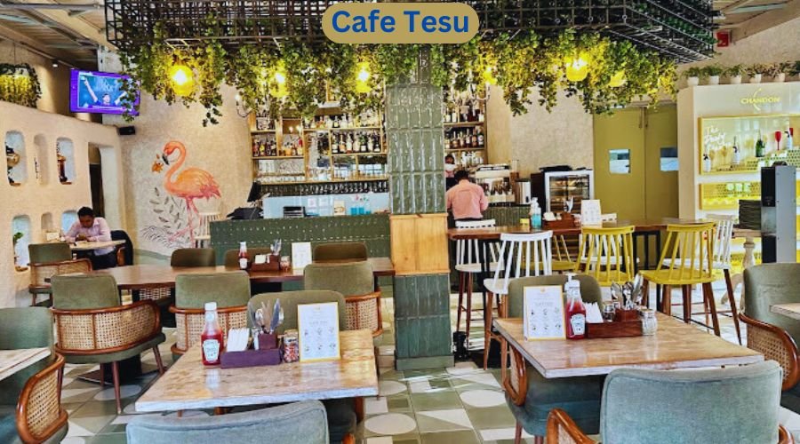 Cafe Tesu Vijay Mandal Enclave Kalu Sarai New Delhi