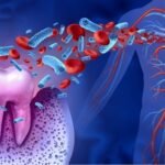 The Link Between Oral Hygiene And Chronic Health Conditions