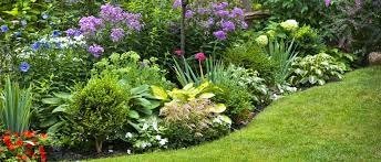Where Beauty Meets Precision: Greener Grass Landscaping in South Carolina