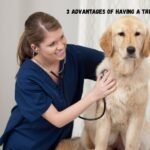 3 Advantages Of Having A Trusted Family Veterinarian