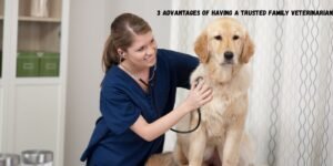 3 Advantages Of Having A Trusted Family Veterinarian