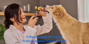 3 Ways Annual Vet Exams Protect Against Hidden Health Risks