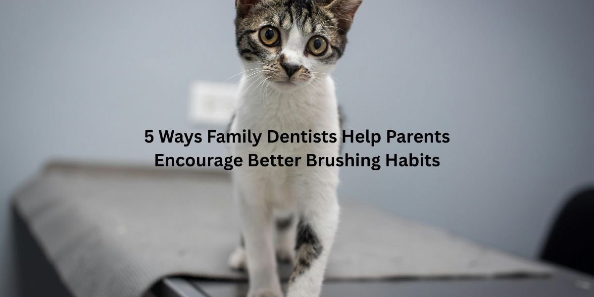 5 Ways Family Dentists Help Parents Encourage Better Brushing Habits