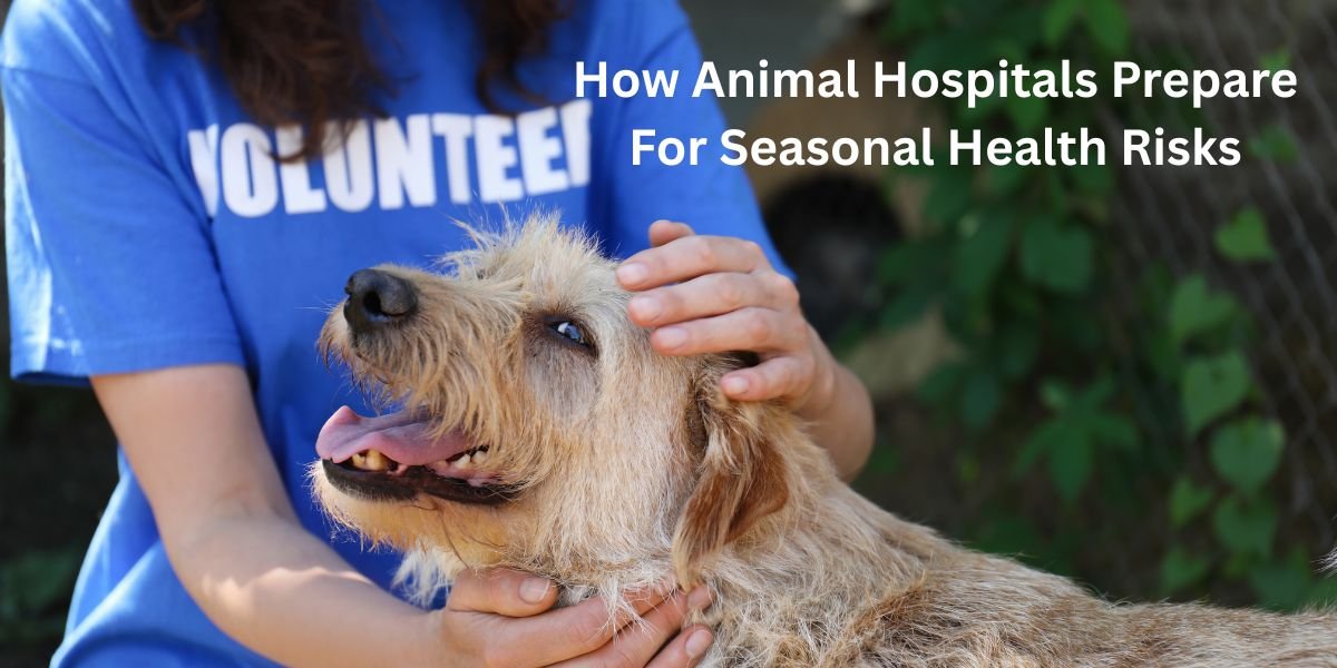How Animal Hospitals Prepare For Seasonal Health Risks