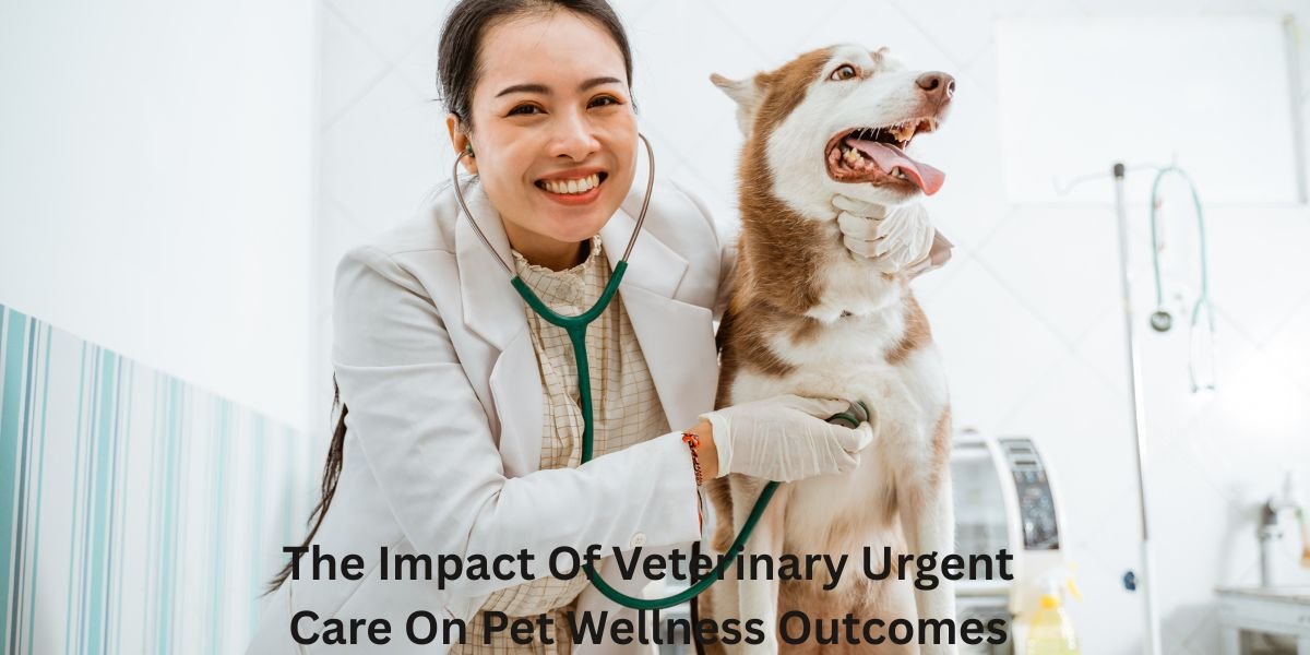 The Impact Of Veterinary Urgent Care On Pet Wellness Outcomes