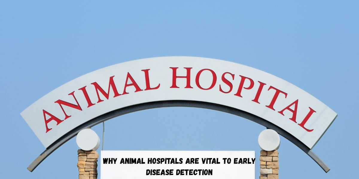 Why Animal Hospitals Are Vital To Early Disease Detection