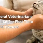Why General Veterinarians Are Essential For First Time Pet Owners
