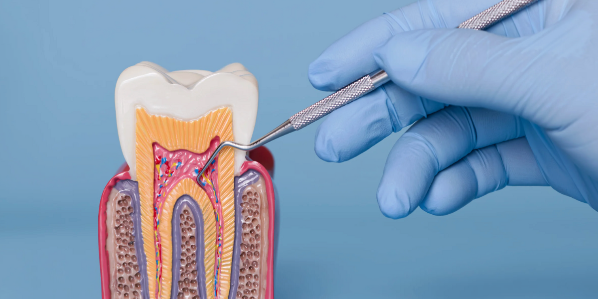 Why Preventive Dentistry Protects Both Health And Finances