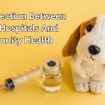 The Connection Between Animal Hospitals And Community Health