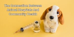 The Connection Between Animal Hospitals And Community Health
