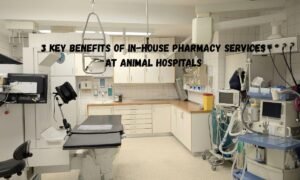 3 Key Benefits Of In-House Pharmacy Services At Animal Hospitals