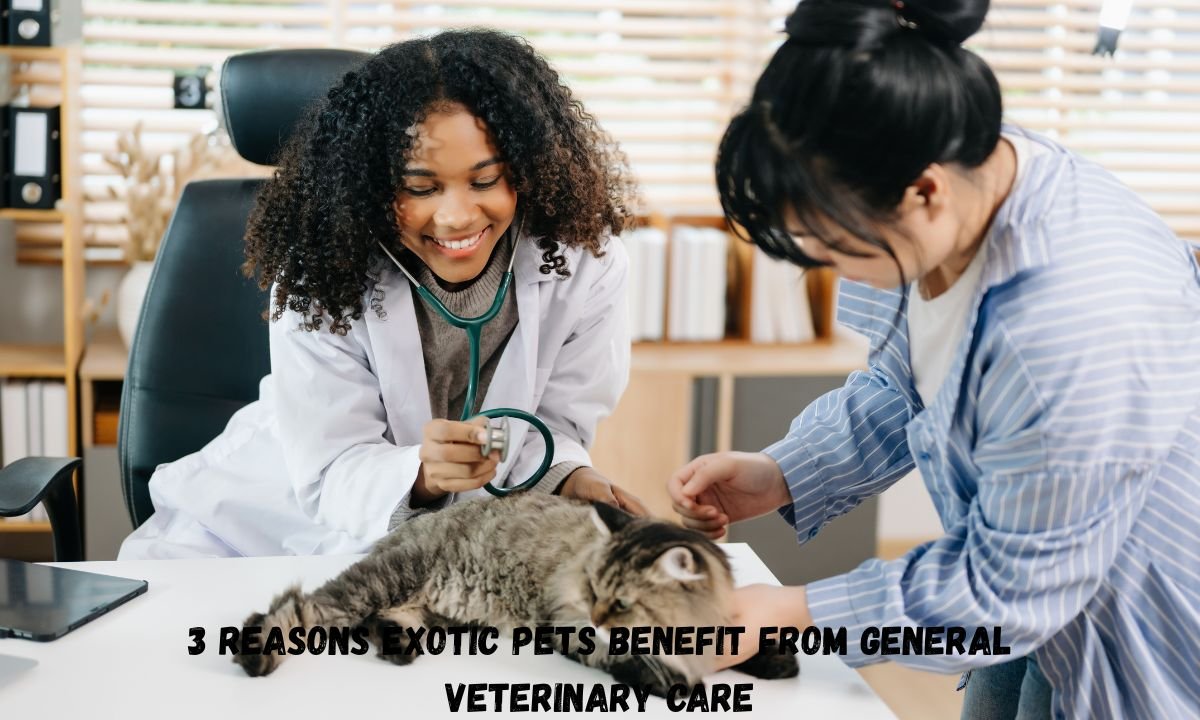 3 Reasons Exotic Pets Benefit From General Veterinary Care