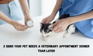 3 Signs Your Pet Needs A Veterinary Appointment Sooner Than Later