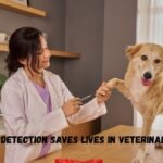 Why Early Detection Saves Lives In Veterinary Medicine